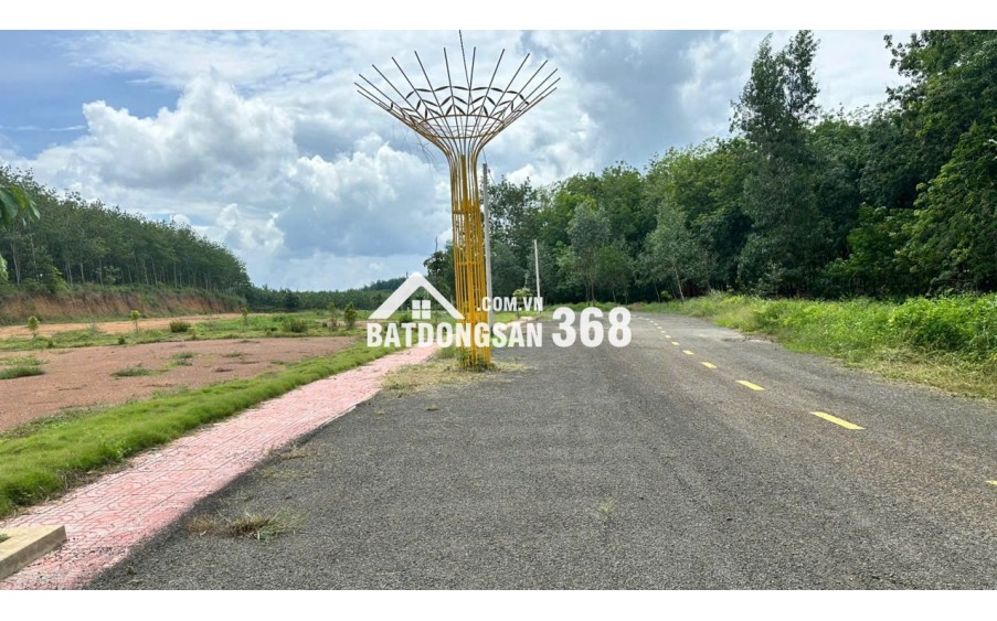 Vốn ban đầu 80 triệu có ngay đất đầu tư tại Đồng Phú - Bình Phước